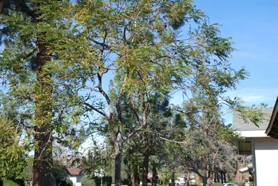 DSC_0022 (Large).JPG